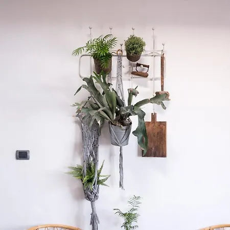 Апартаменты Casa Botanica - Island Location - 10 Mins Drive To Famara And La Santa