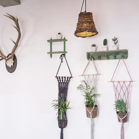 Casa Botanica - Island Location - 10 Mins Drive To Famara And La Santa Apartment Tao